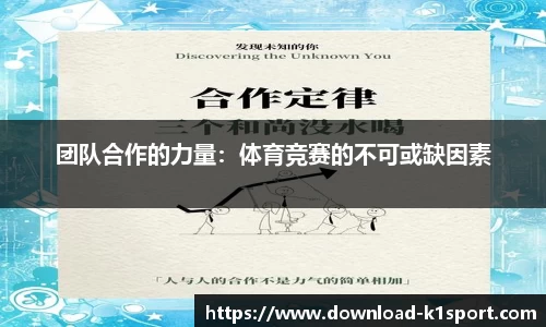 k1体育官网
